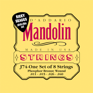 D'Addario Mandolin Strings J74